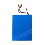 Lithium Battery For Ruitoo Electric Scooter